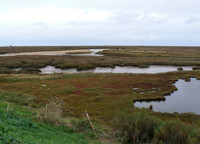 Blakeney Landscape