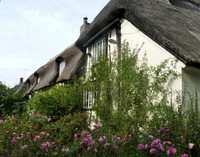 Cottages in Denston