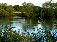 BTO Nunnery Lakes Nature Reserve