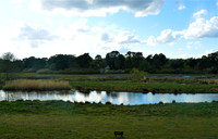 BTO Scrape