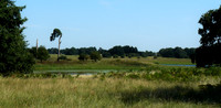 East Wretham Heath Lakes