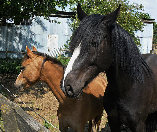 Mother & Daughter