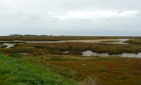Blakeney Marshes