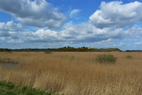 Dunwich Heath