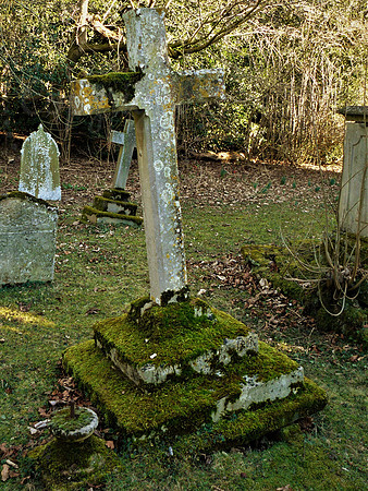 Overgrown Cross