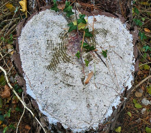 Natures Love