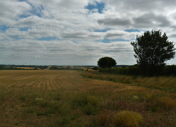Agricultural Fields