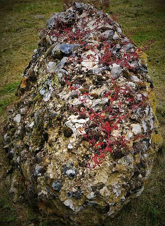 Multicoloured Stone