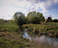 BTO Reserve