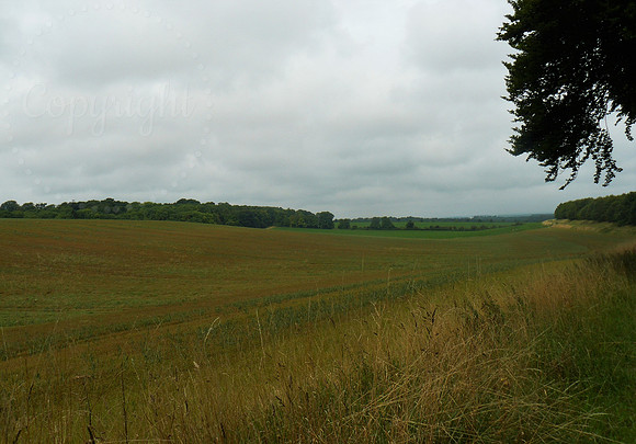 Countryside Nr Stetchworth