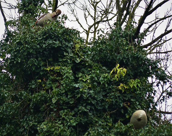 You Lost Your Head